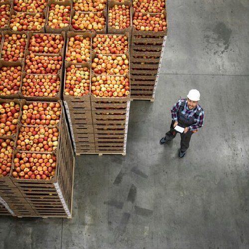 New Project – 2025-11-13T114721.335